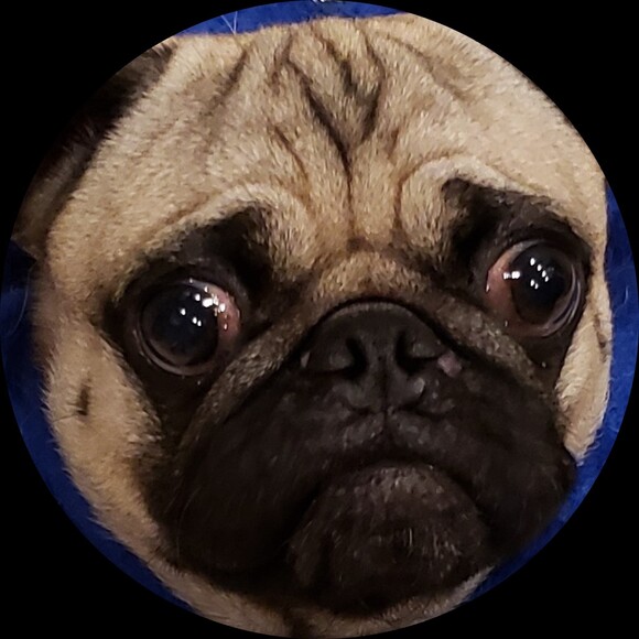 pug_power